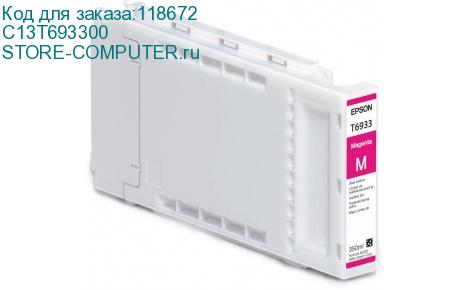 C13T693300
