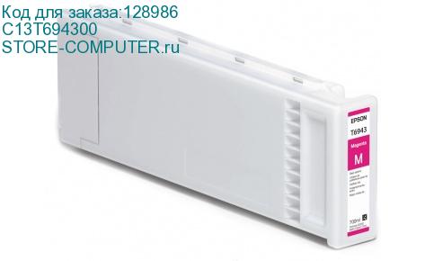C13T694300
