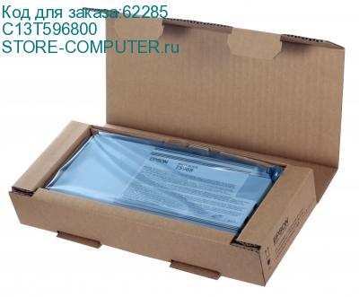 C13T596800