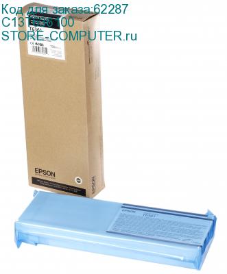 C13T636100