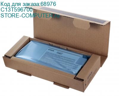 C13T596700