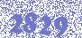 Тонер + носитель для XEROX AltaLink C8045/8030/8035/ WorkCentre 7830 Magenta (CE08-M(CPT) + CE08-D) 360г/бут. (006R01511/006R01519/006R01703) Japan CET (CET111041M-360N)