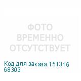 68303