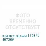 407309