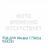504291