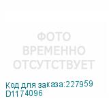 D1174096
