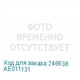 AE011131