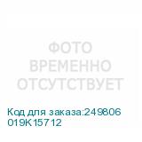 019K15712