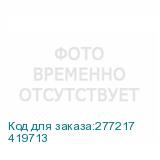 419713