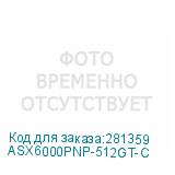 ASX6000PNP-512GT-C