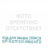 GP-GSTFS31480GNTD