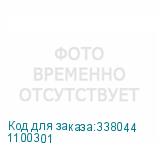 1100301