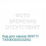 TS500GSSD220Q