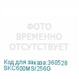 SKC600MS/256G