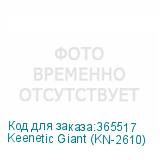 Keenetic Giant (KN-2610)