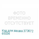 65036