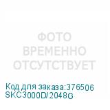 SKC3000D/2048G