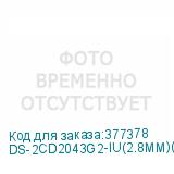 DS-2CD2043G2-IU(2.8MM)(BLACK)