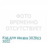 3002