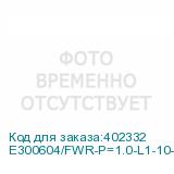 E300604/FWR-P=1.0-L1-10-1100