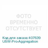 USW-Pro-Aggregation