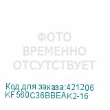 KF560C36BBEAK2-16