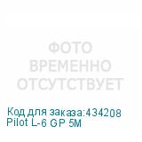 Pilot L-6 GP 5M