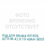 ШТК-М-42.8.10-48АА-9005