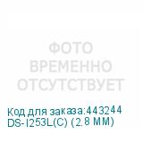 DS-I253L(C) (2.8 MM)