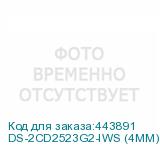DS-2CD2523G2-IWS (4MM)