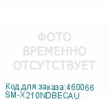 SM-X210NDBECAU