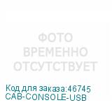 CAB-CONSOLE-USB