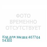 54300