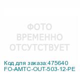 FO-AMTC-OUT-503-12-PE