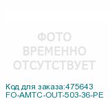 FO-AMTC-OUT-503-36-PE