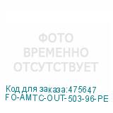 FO-AMTC-OUT-503-96-PE