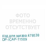 DP-ICAP-11509