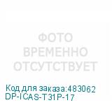 DP-ICAS-T31P-17