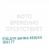 306177