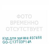GG-C13T03P14A