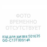 GG-C13T00S14A