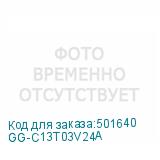 GG-C13T03V24A