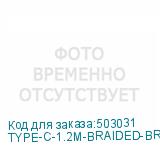 TYPE-C-1.2M-BRAIDED-BR