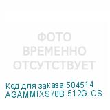 AGAMMIXS70B-512G-CS