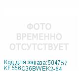 KF556C36BWEK2-64