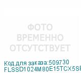 FLSSD1024M80E15TCX5SE