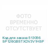 SP128GBSTXDV3V1HSP