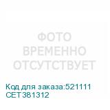 CET381312
