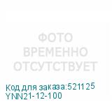 YNN21-12-100