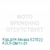 A2L5-DM11-01